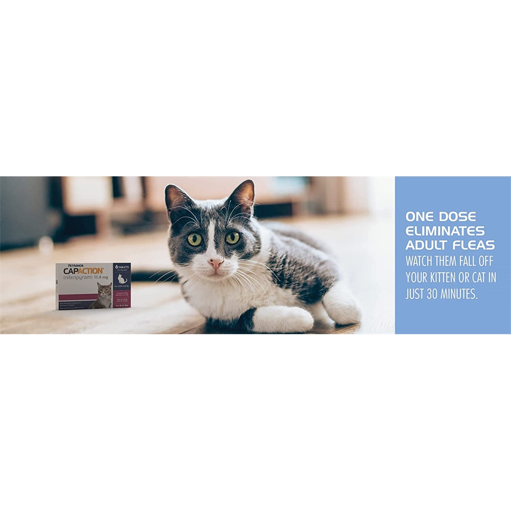 Antipulgas CAPACTION (nitenpirama) Tratamiento oral gatos