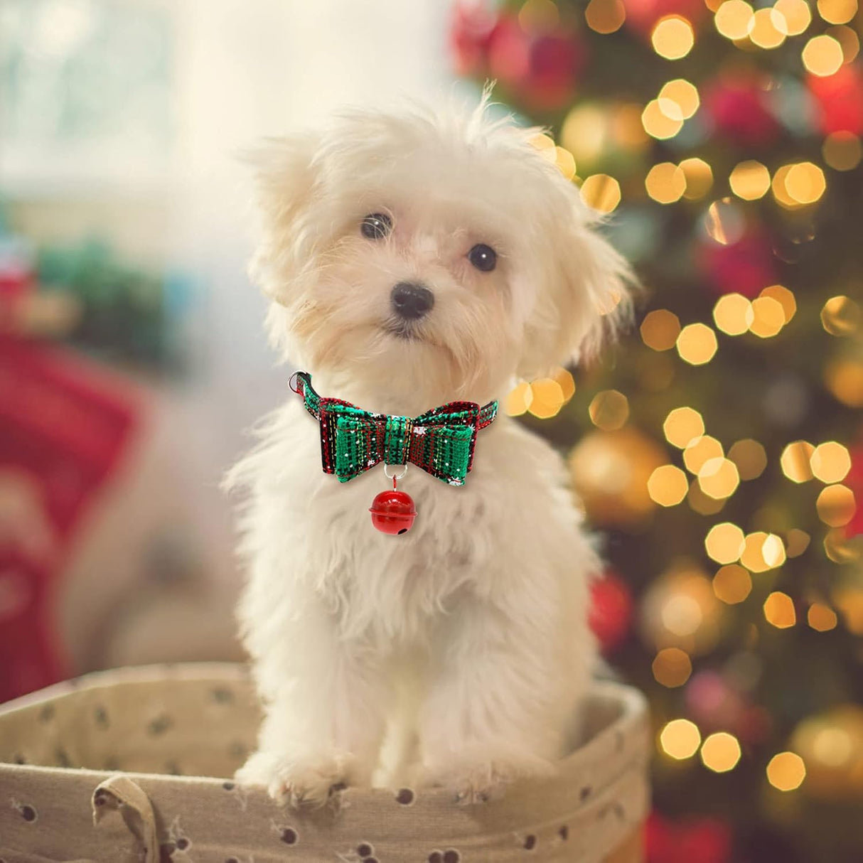 Disfraces Juego de 2 collares de gato de Navidad talla única