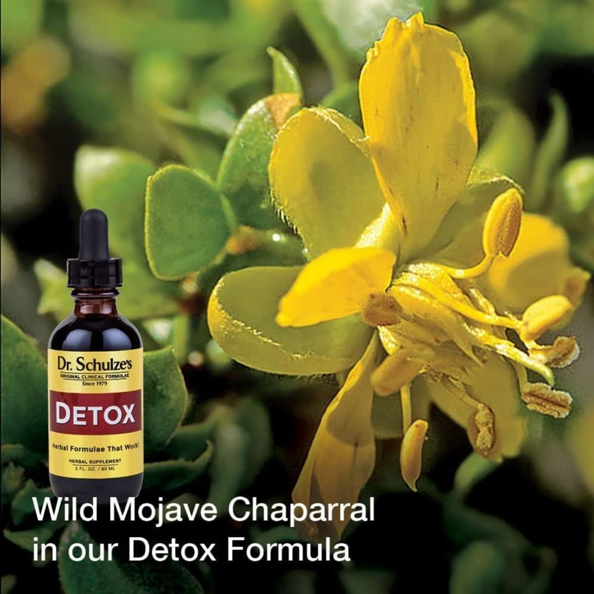 Suplementos Alimenticios Riñón de 5 días del Dr. Schulze