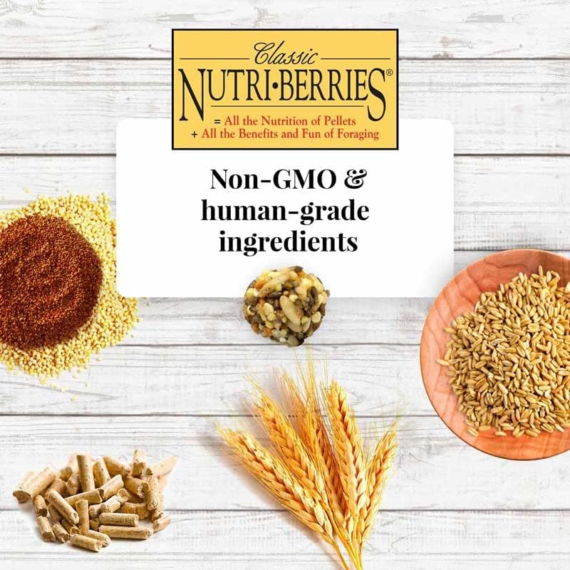 Alimento para pájaros para mascotas