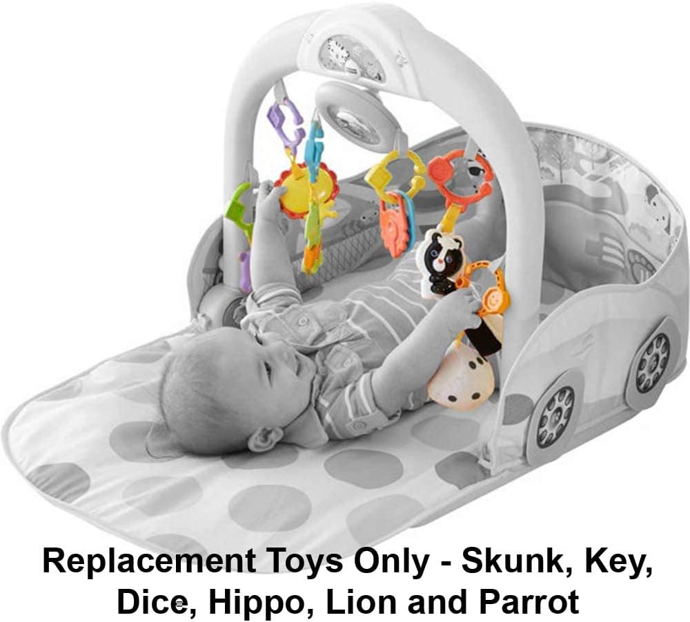 Repuestos Fisher-Price Gimnasio Convertible 3 en 1 DFP07