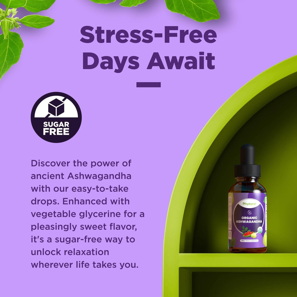 Gotas de Ashwagandha Orgánico - Extracto Potente - 60 Serv.