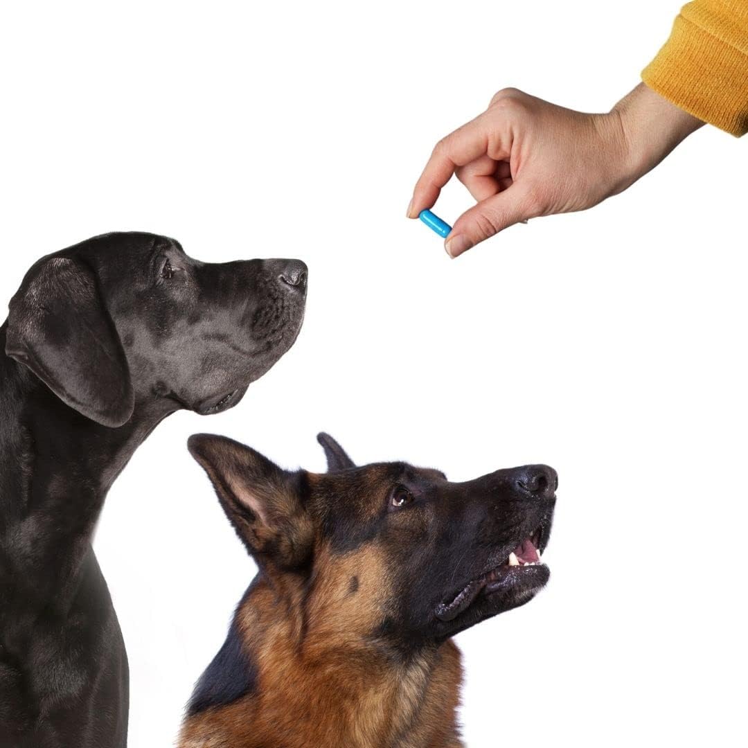 Cápsulas Vacías Tamaño 00 - Gelatina - 1000 Contenido - Halal