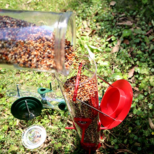 Comedero para pájaros, colgantes de tubo de 6 puertos