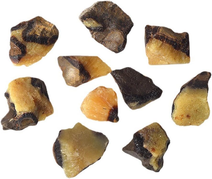 Cristales Septarianos Naturales, Rústicos para Sanación y Decoración