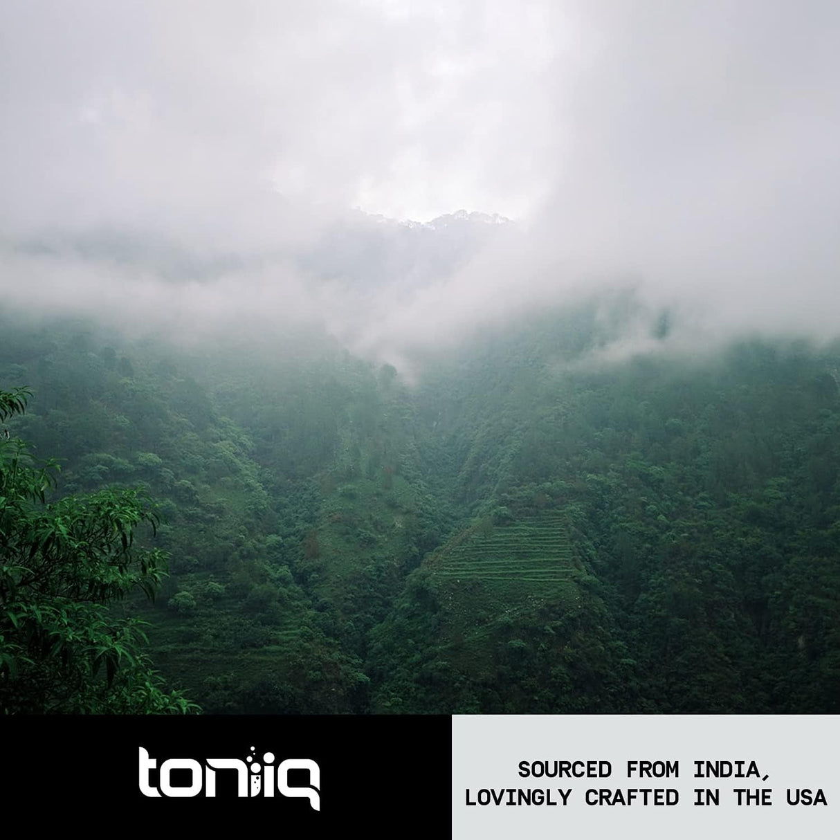 Suplemento de raíz de valeriana de ultra alta 1,300 mg