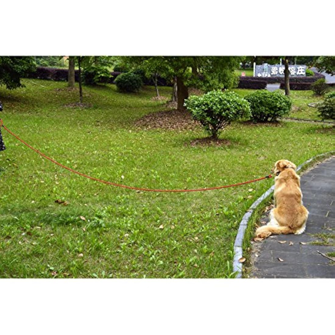 Correa para perros con mango suave 8-20 FT rojo