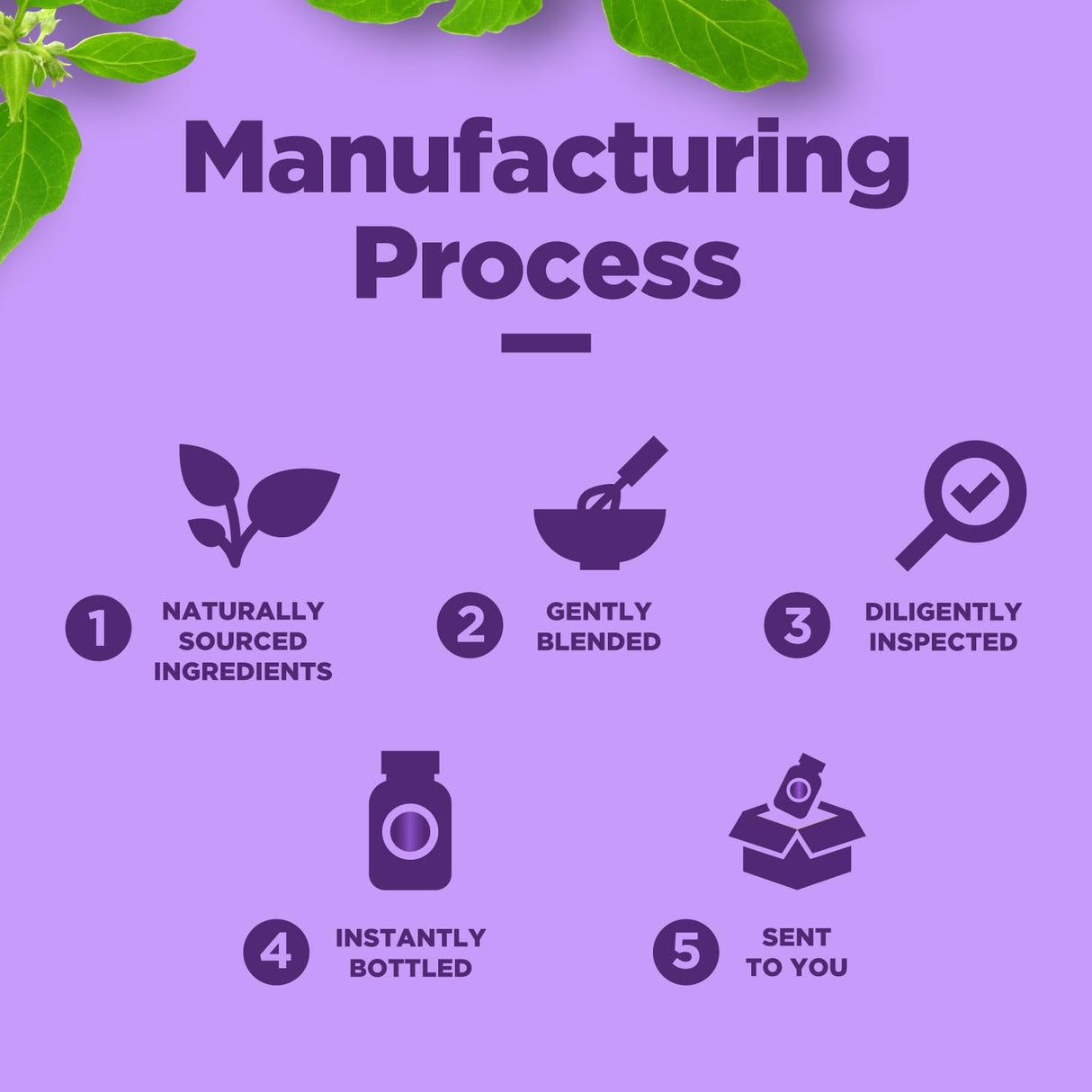 Gotas de Ashwagandha Orgánico - Extracto Potente - 60 Serv.