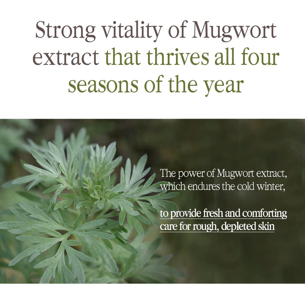 Crema Antienvejecimiento con Té Negro y Kombucha