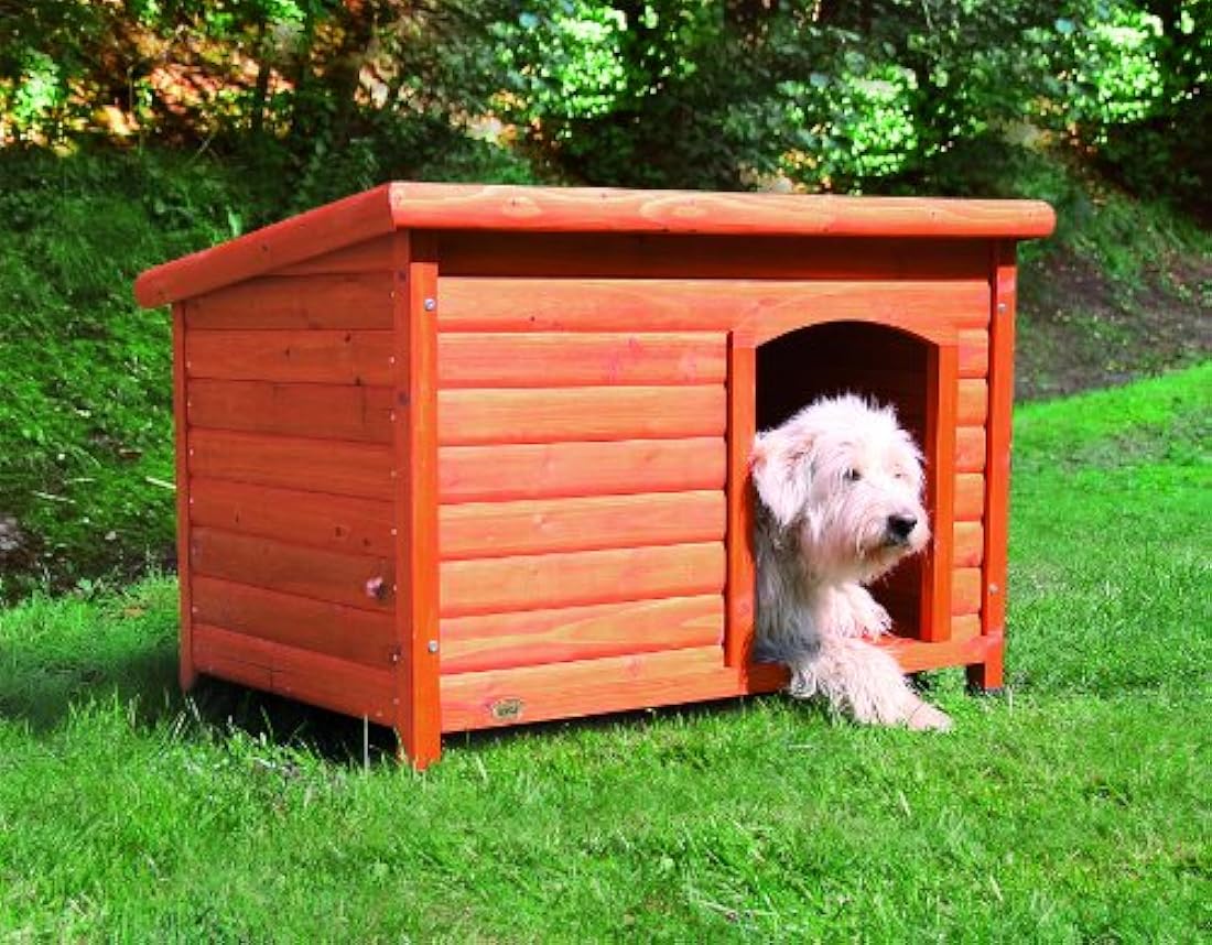 Casa de perro de madera clásica al aire libre