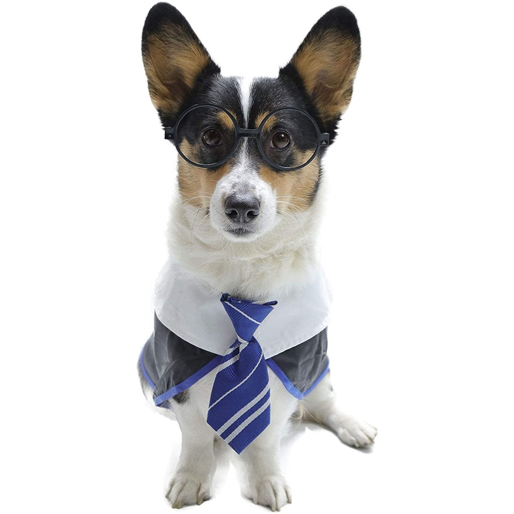 Disfraces de gato mago talla S