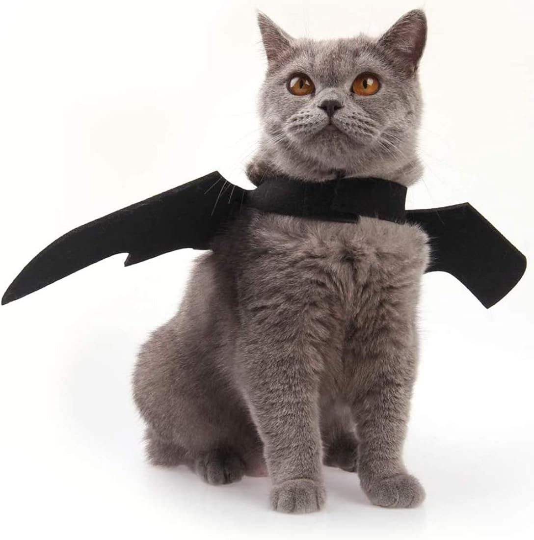 Disfraces de gato de Halloween con alas talla única