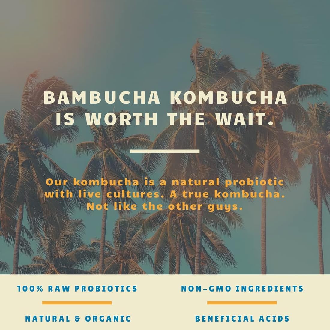 Bambucha Kombucha Paquete variado de 12 unidades
