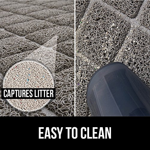 trampas de arena de la caja y los gatos