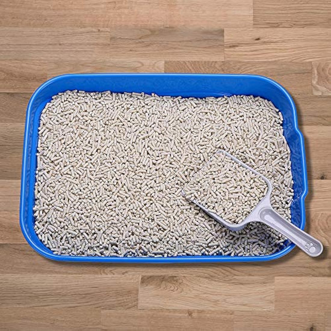 GreenJoy Kitty - Caja de arena abierta sin tapa, alfombrilla