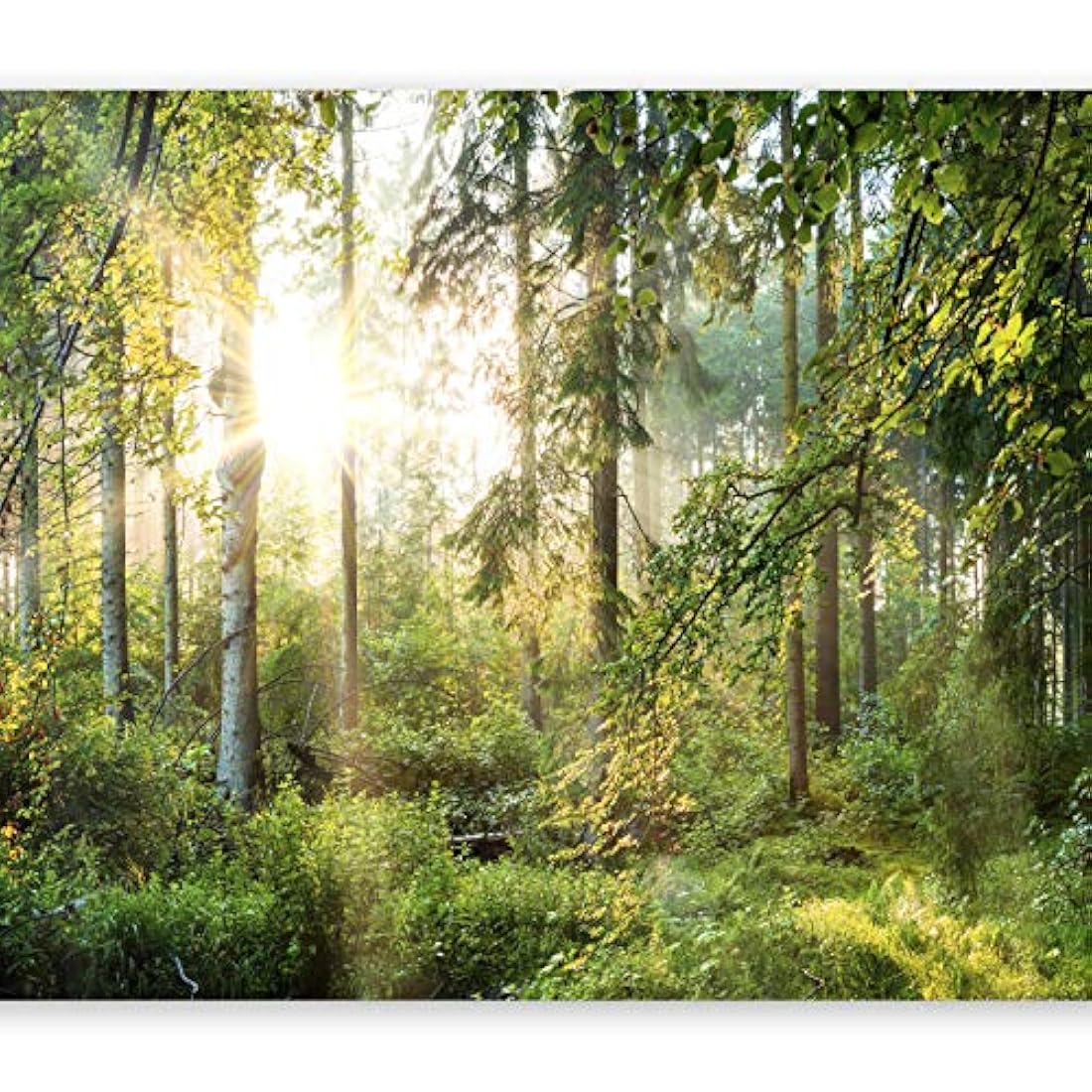 Mural de pared diseño bosque (300x210 cm /118x83)No tejido