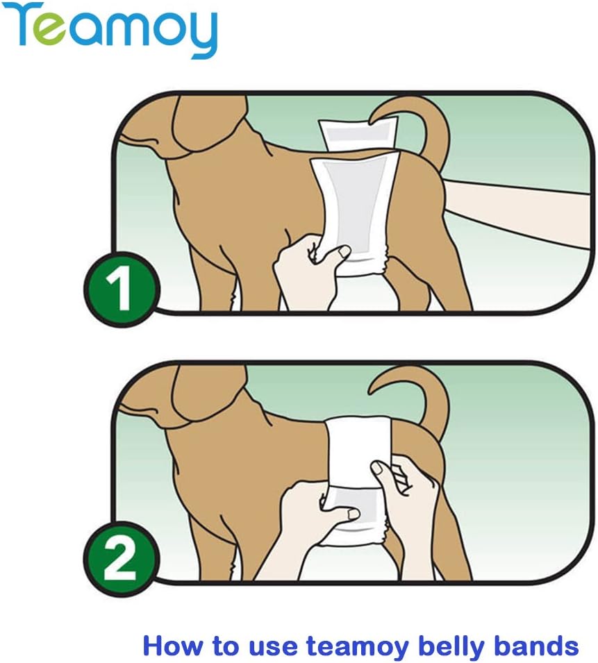 Pañales envolventes reusables para perros Teamoy