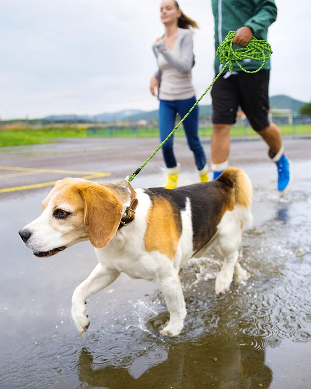Correa Reflectante para Perros de 16FT a 100FT