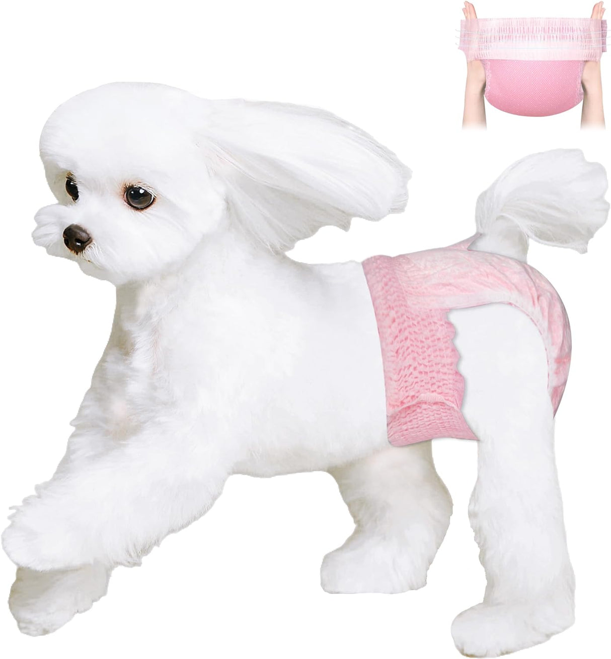 Pañales desechables para perras, pañales elásticos micción excitable