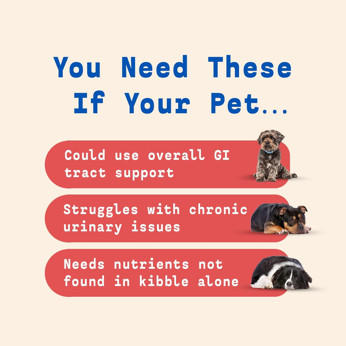 Vitaminas para perros en el mostrador Soporte de vejiga