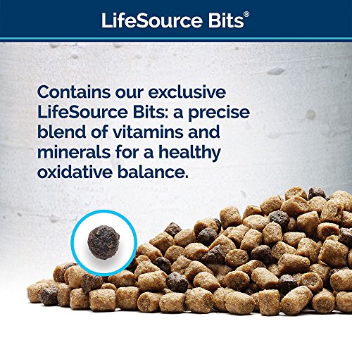 Comida para gatos 5 lb Sin Grano Pollo Seco