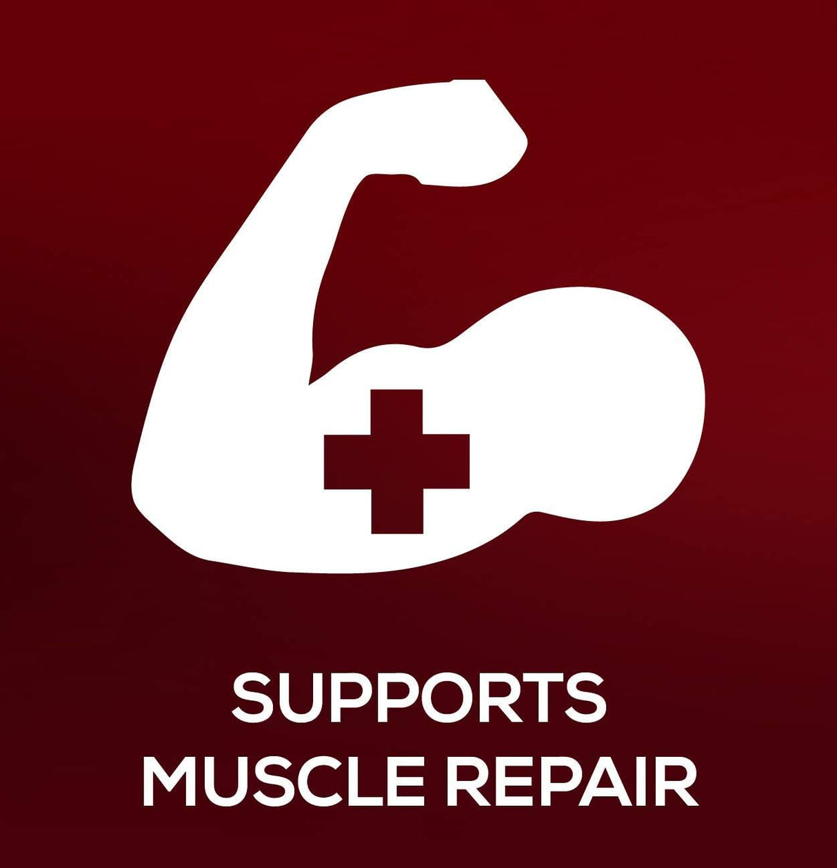 Suplementos Alimenticios fuente completa de proteína