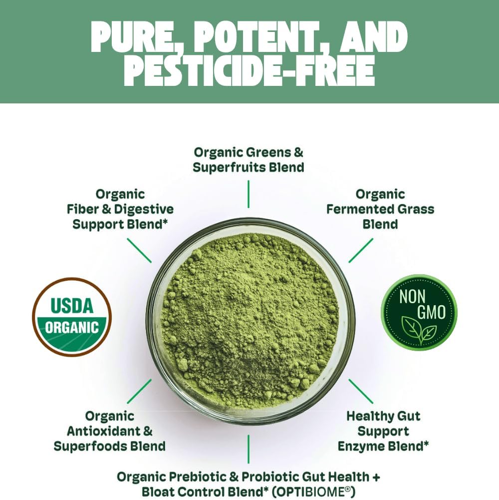 Green Apple Bliss Superfood Powder - Orgánico, Vegano, 30 Días