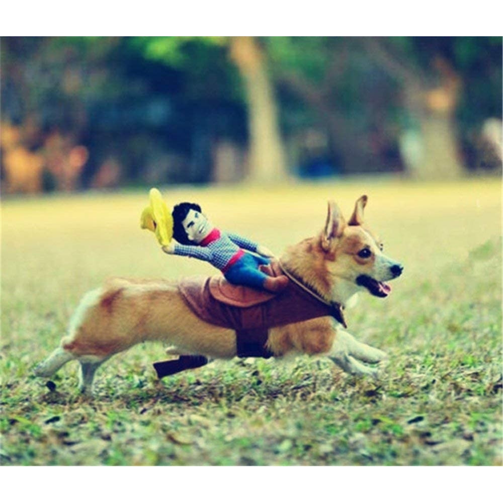 Disfraces con vaquero para perros talla M