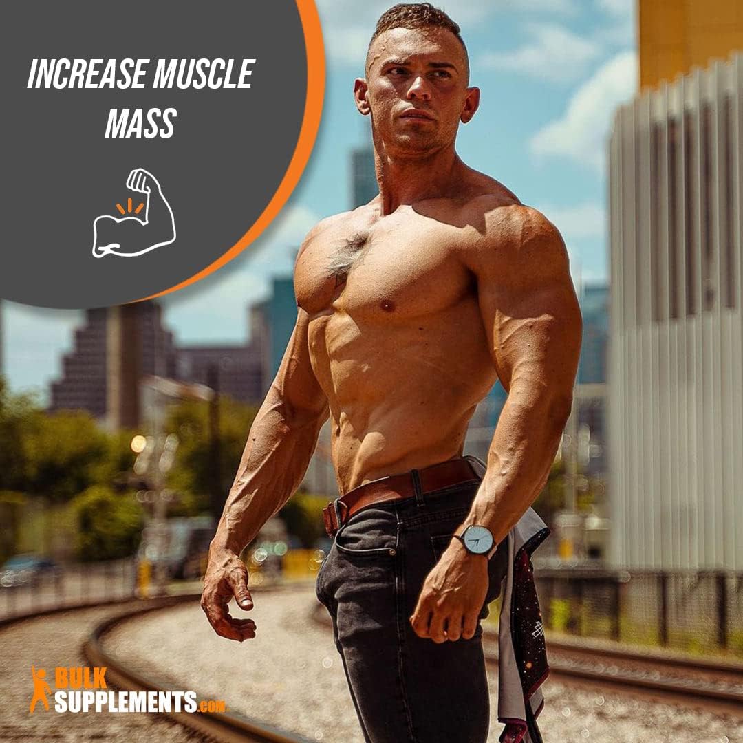 Suplementos Alimenticios de creatina Polvo micronizado