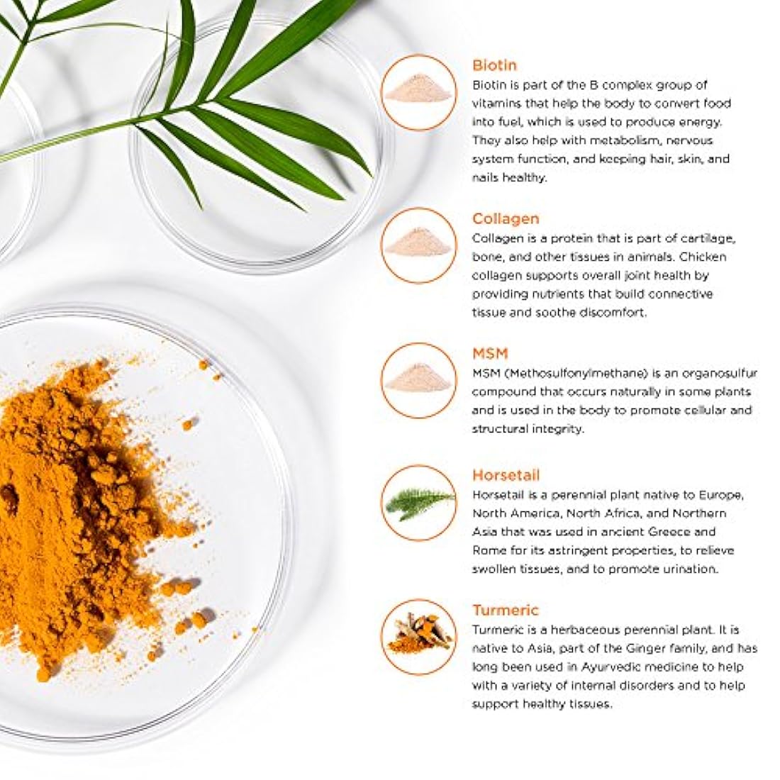 Suplemento para cabello, uñas y piel 90 Cápsulas