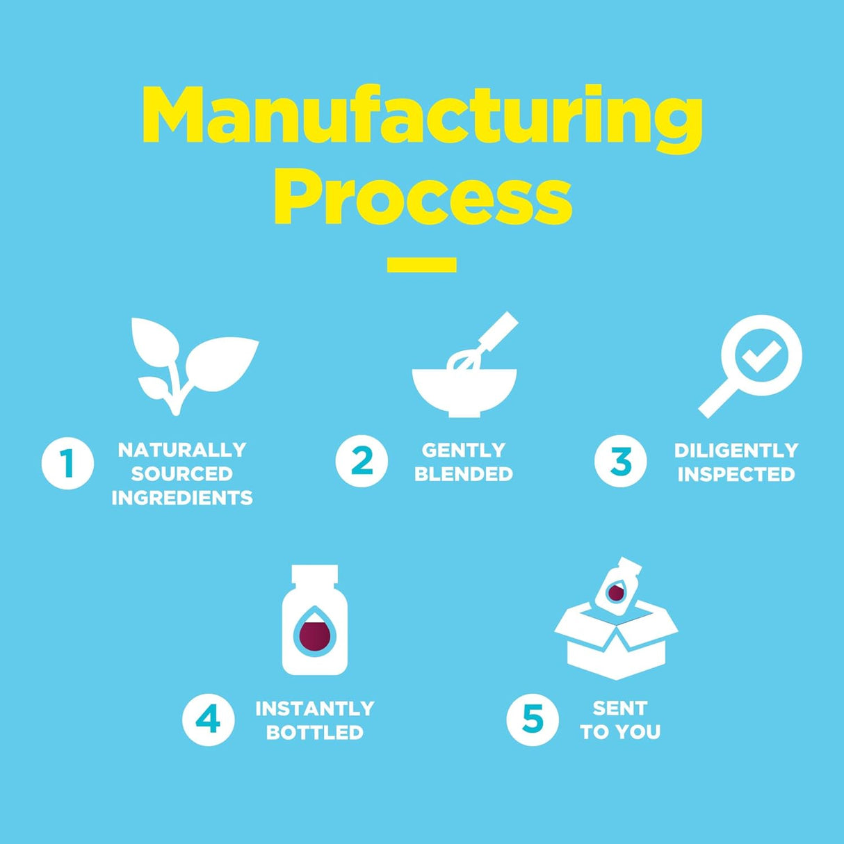 Suplementos de fibra sin azúcar para adultos Phytoral