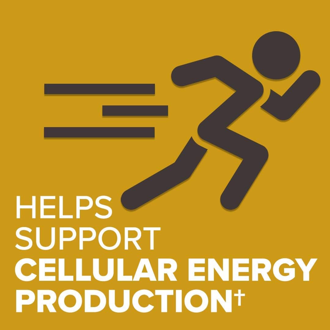 Suplementos Alimenticios potente antioxidante para la salud