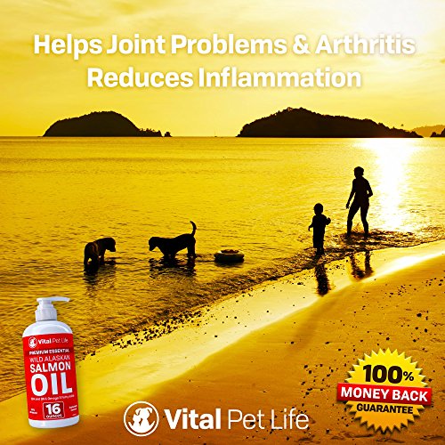 Aceite de salmón para perros gatos y caballos