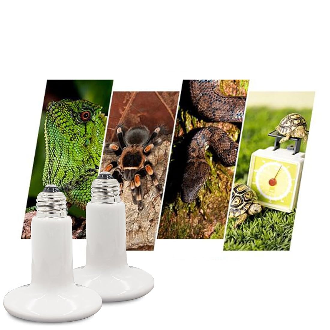 Bombilla de la lámpara de calor de reptiles