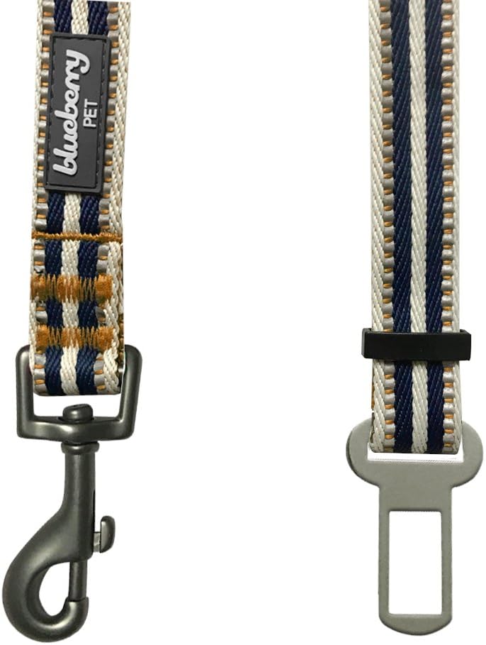 Correa Reflectante Ajustable para Mascotas, Seguridad Duradera