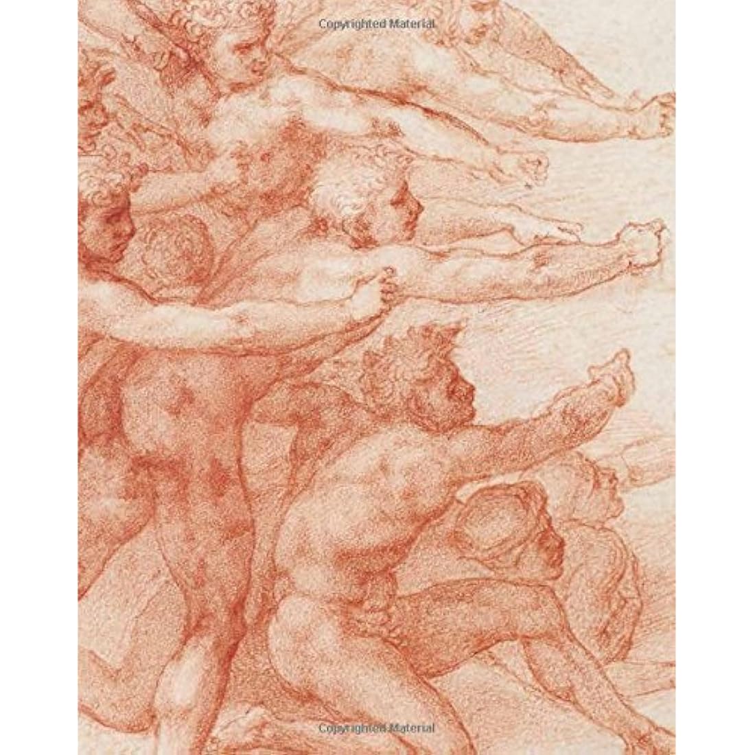 Libro: Michelangelo: Divine Draftsman and Designer