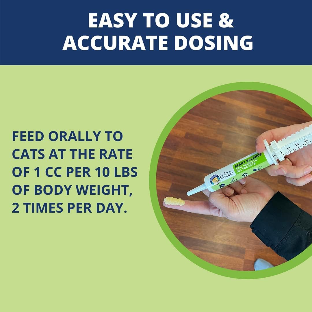 Gel probiótico y prebiótico oral de apoyo digestivo