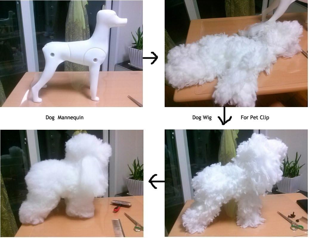 Maniquí de Perro D-Wig para Grooming, Plástico Reforzado