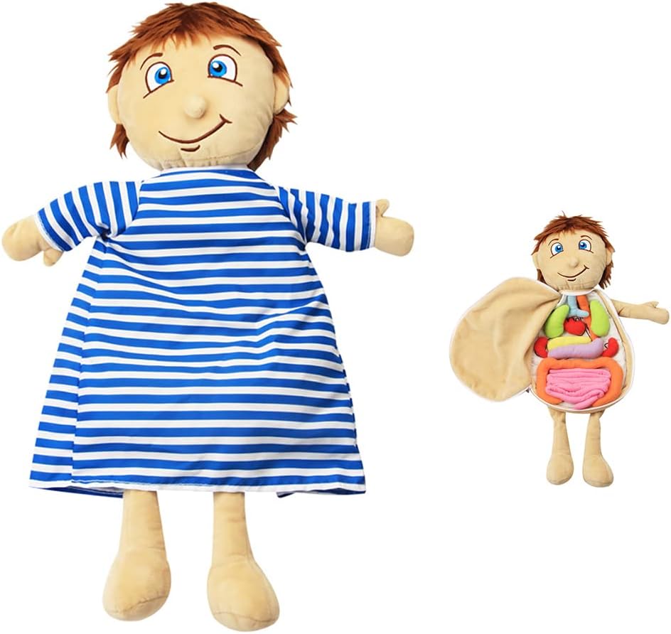 Modelo KAKIBLIN: Juguete anatómico de cuerpo humano para niños