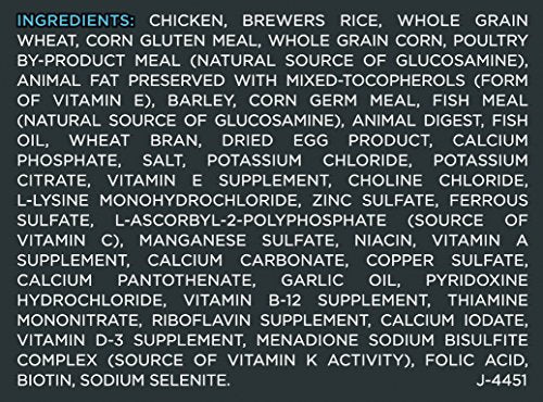comida para razas grandes para adultos Alimentos