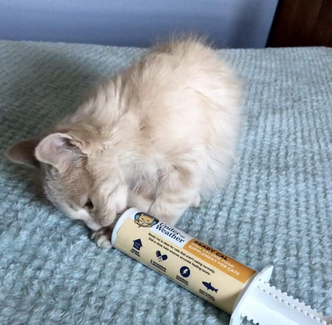 Vitaminas Suplemento nutricional de alta calorías