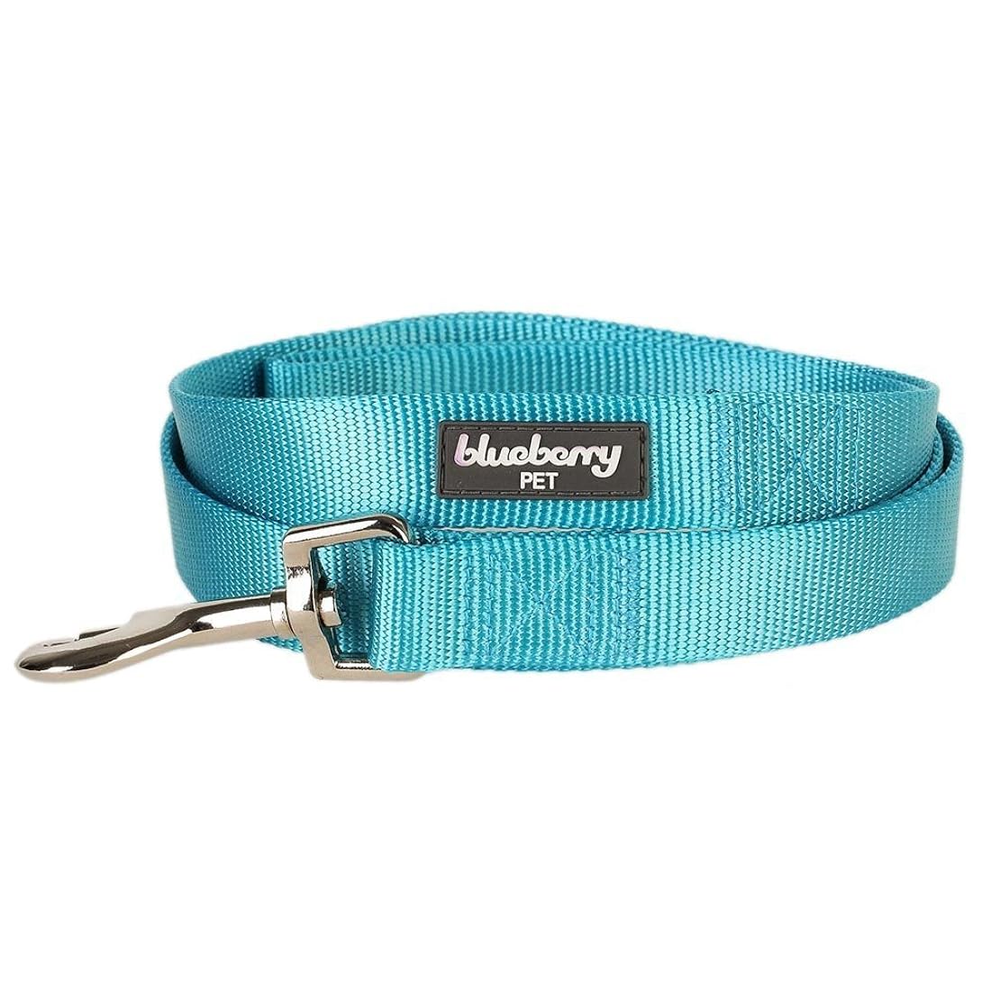 Correa clásica duradera para perros.