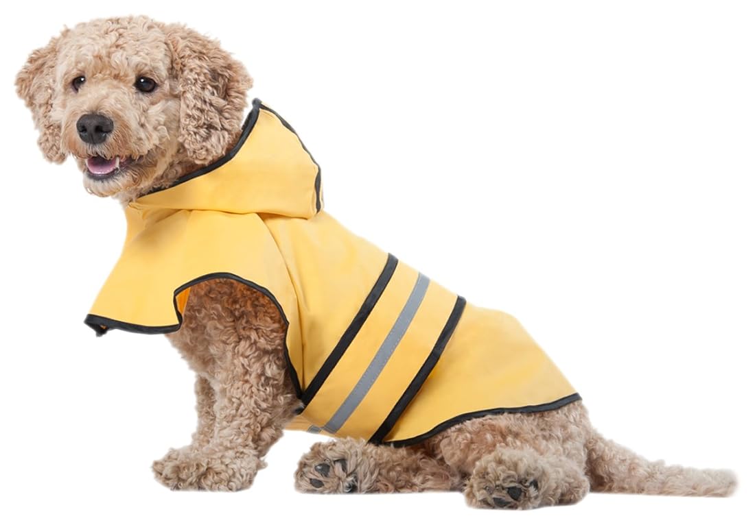 Poncho de lluvia para perros.