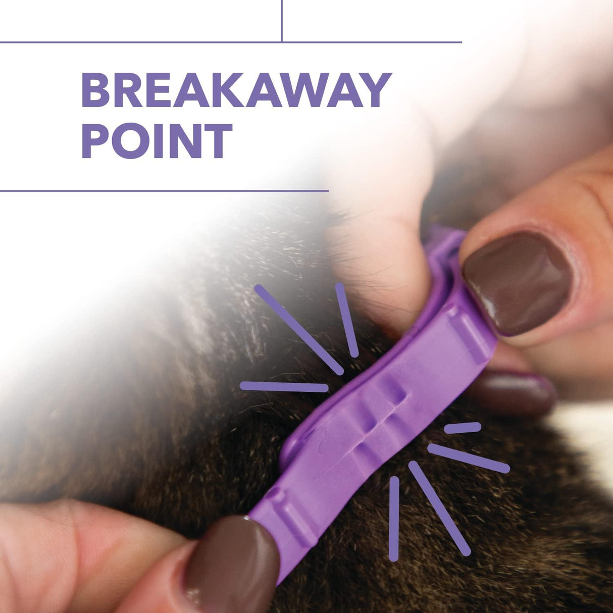 Collar para pulgas y garrapatas para gatos