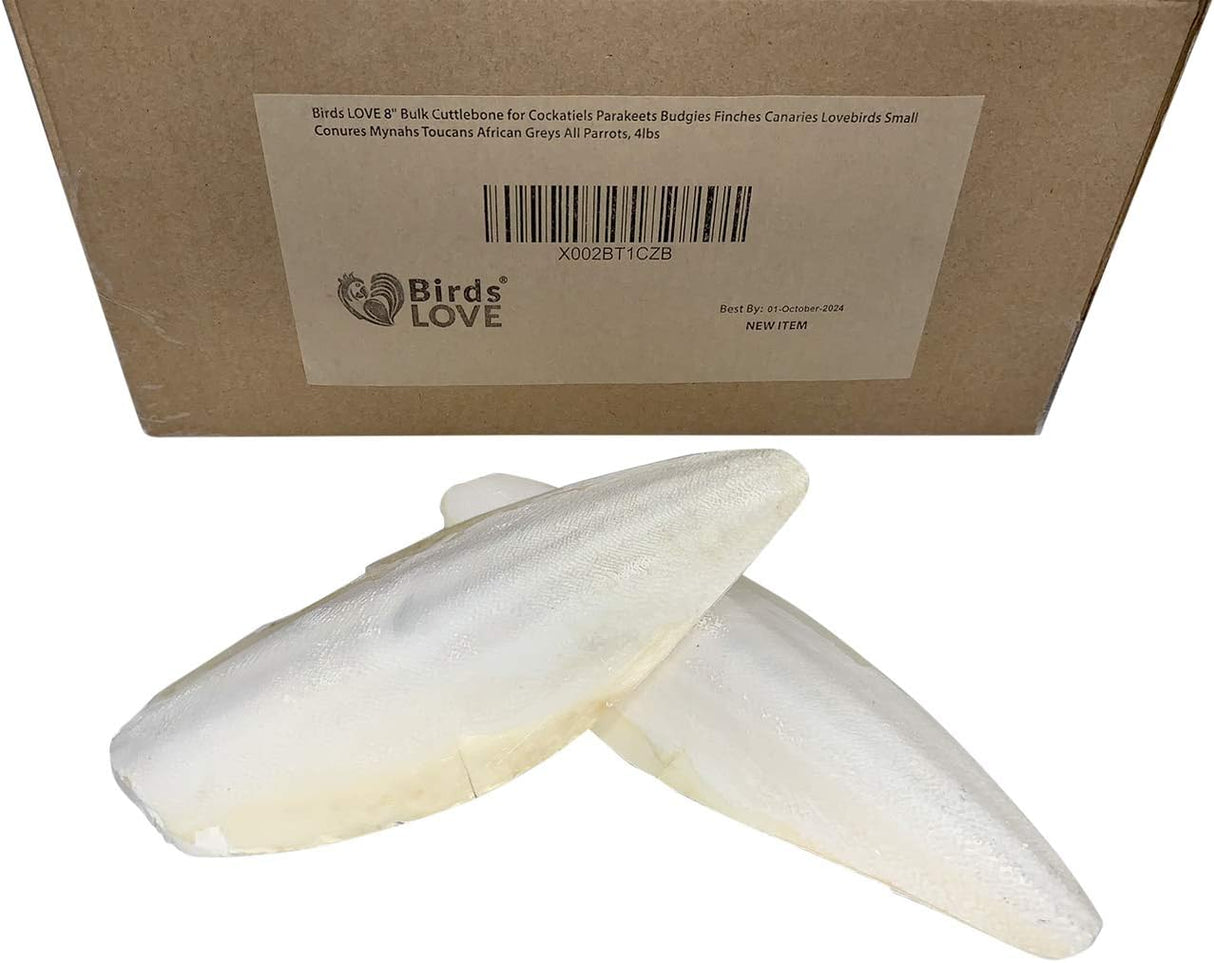 Cuttlebone de pescado para cacatúas, periquitos y más