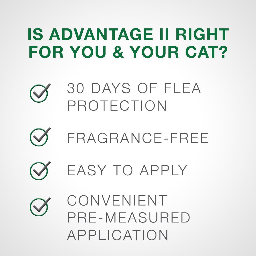 Bayer Advantage II para gatos grandes de más de 9 libras