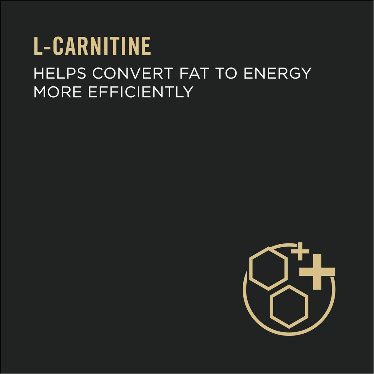 Alimento húmedo para gatos con salsa en proteínas