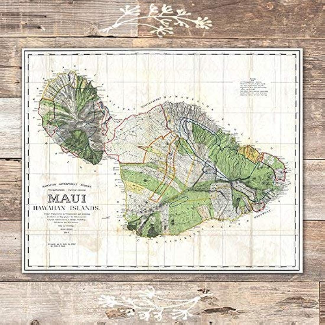 laminas artisticas de pared en hawaii