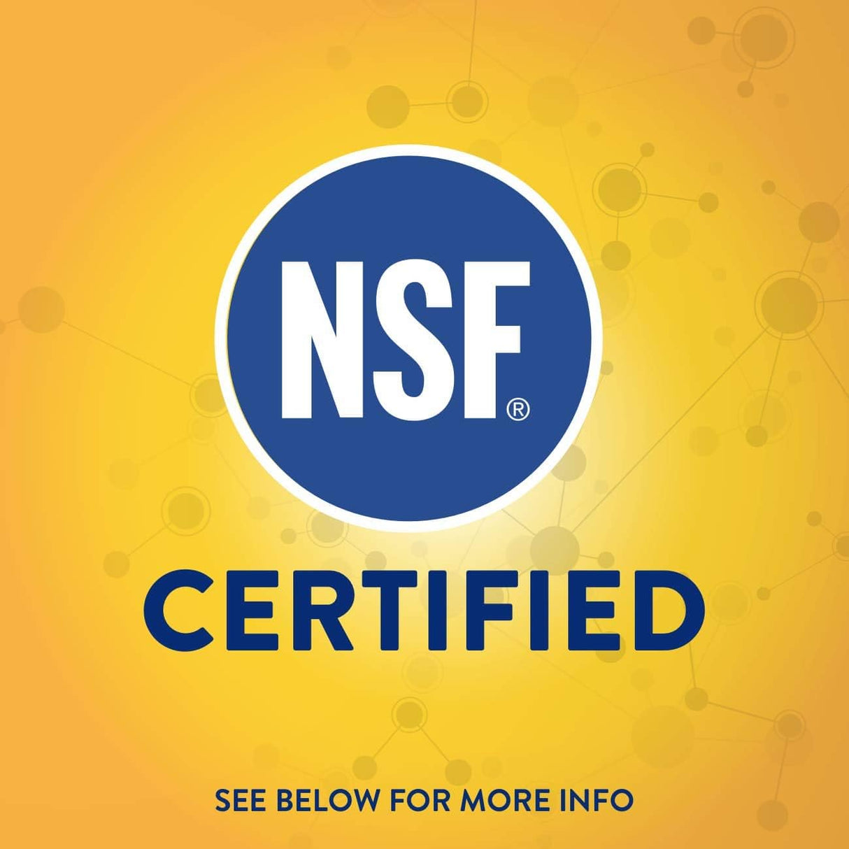 Suplementos Alimenticios terapéutica en polvo