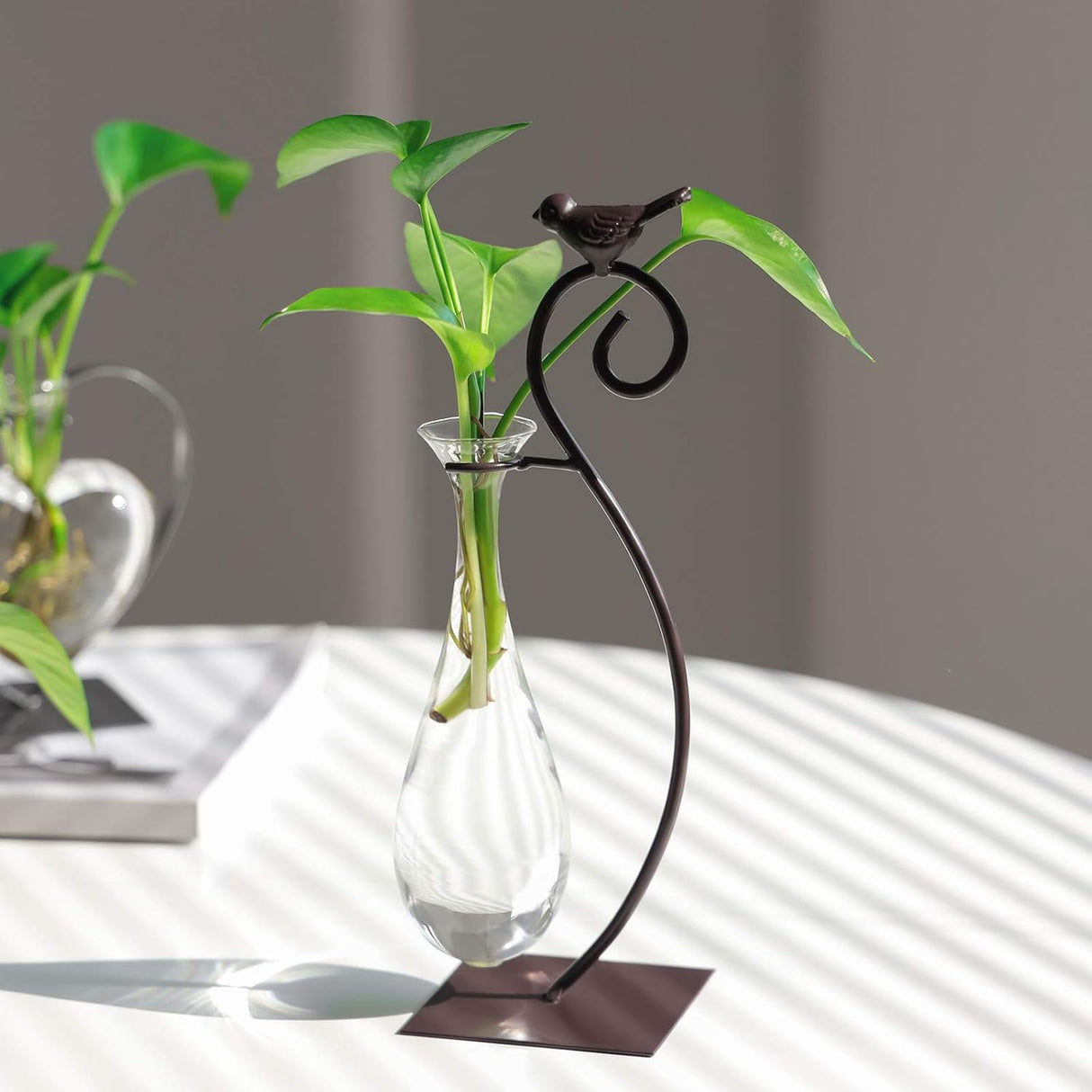 Marbrasse - Jarrón hidropónico de cristal de sobremesa